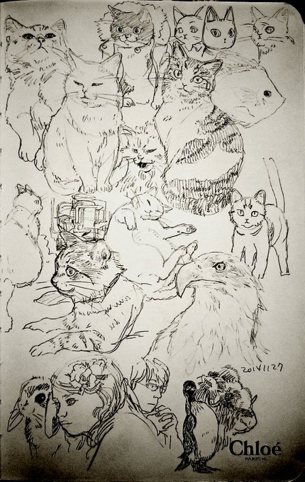 20141127スケッチ 