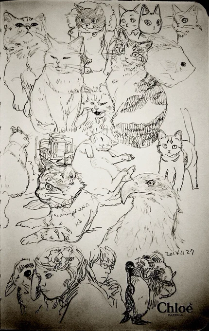 20141127スケッチ 