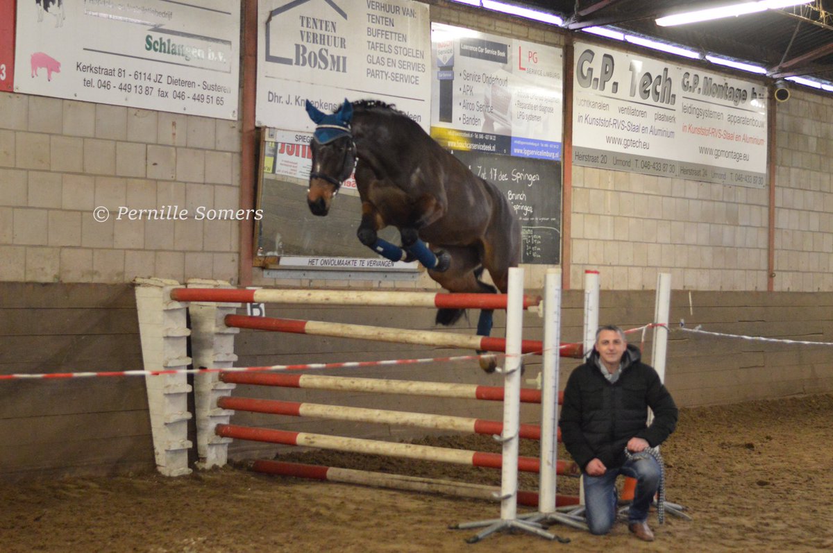 ReitstallBerger's tweet photo. Siegerfoto mit La Lotti und ihrem Besitzer Ralf Meurer https://t.co/mhlbQfrBDB