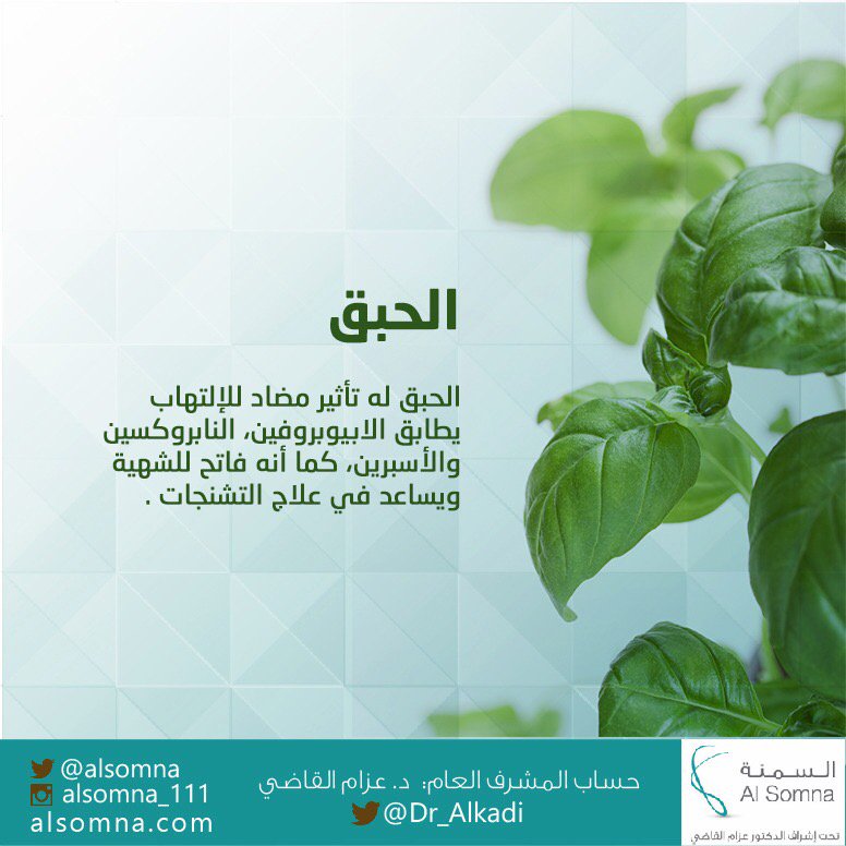 Alsomnaa's tweet photo. معلومات ضرورية ومفيدة عن #الحبق 🌿 https://t.co/iZXqO6eMSV