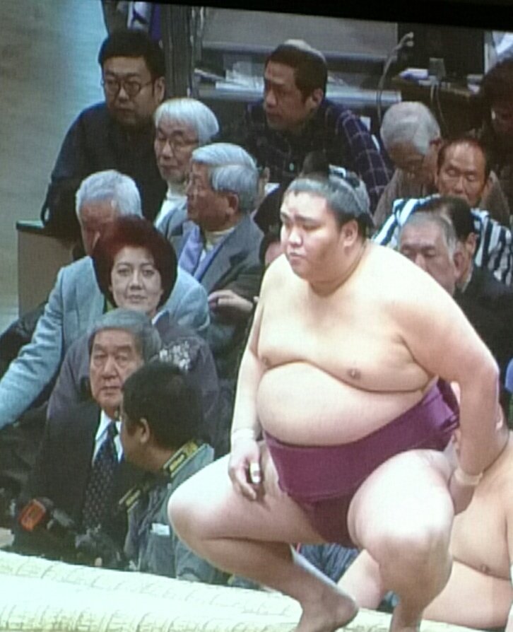 相撲中継