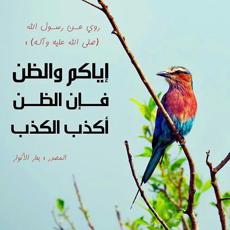 AhMeD (@eng_a7med7) on Twitter photo 