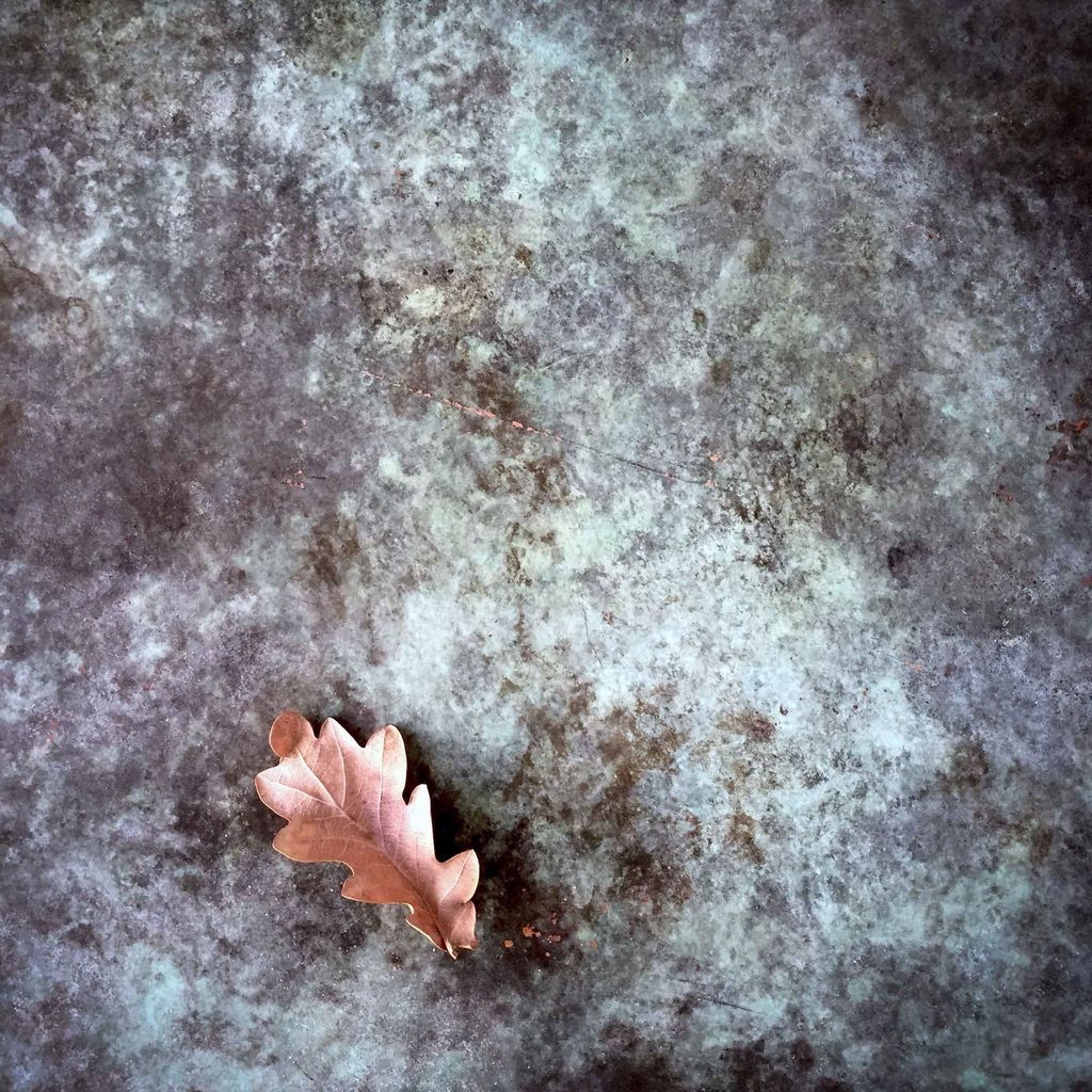 VilliersLtd's tweet photo. #patina #copper #metaltexture #texture #metalwork #interiordesign #oakleaf #art #weathered… https://t.co/42ZURfwnOO https://t.co/gsx0VdCU8j