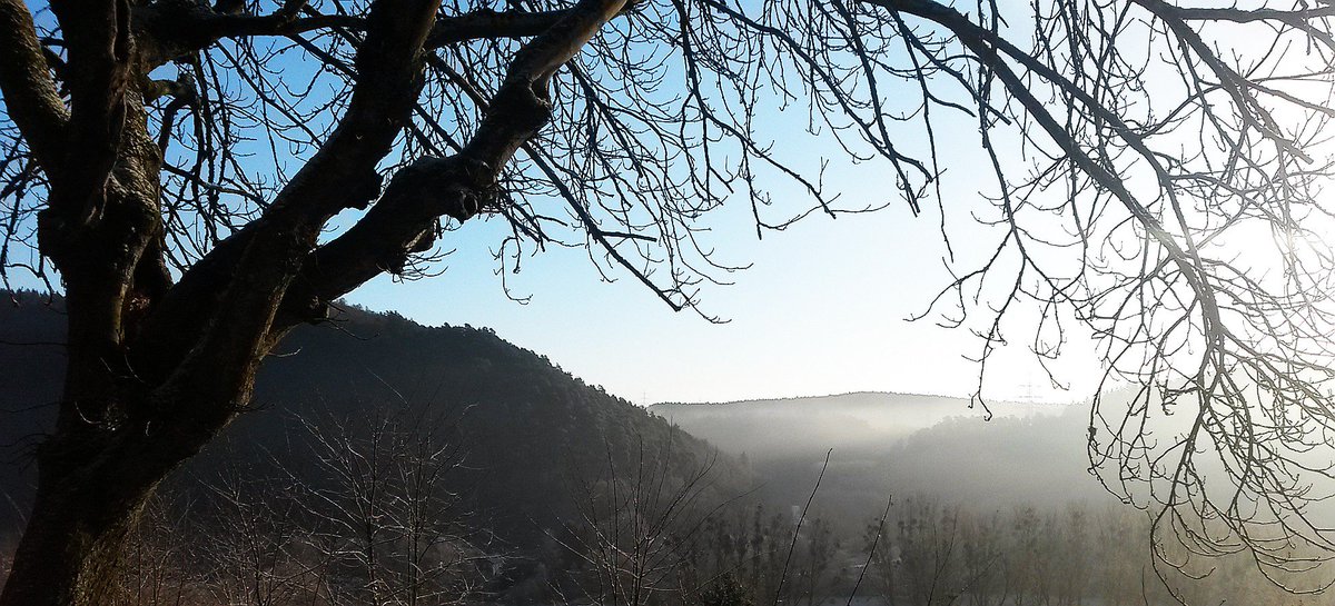 SMOVerlag's tweet photo. @EifelTourismus @eifel_de @wanderwegewelt Immer schön, jede #Jahreszeit ist ein Traum! #Kylltal zwischen #BurgRamstein und #Trier https://t.co/DkwCcyWxa3