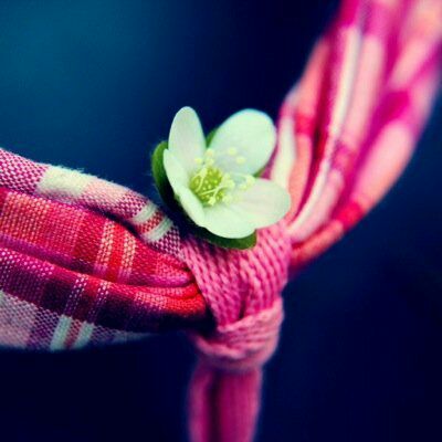 فــدڪ المـوســويّ✤‏ོ tweet media