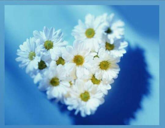 Yeni..
Günde Yeni Başlangıçlar Olsun Hayatınızda..
En..
Güzel Günleriniz Daim Olsun.

-Günaydın.
Mutlu Pazarlar.