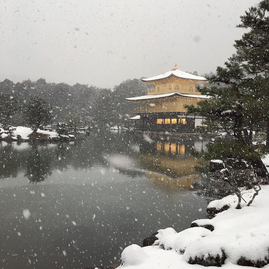 motoimiki's tweet photo. 雪の金閣 #鹿苑寺 #金閣 #雪 #京都 #templodeoro #nieve #kioto https://t.co/bgh3y7bKi2 https://t.co/XDtMm3u182