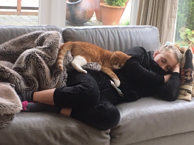 grxcef's tweet photo. There seems to be a recurring theme here... casually napping my myself out of revising https://t.co/QCIJZCndgR