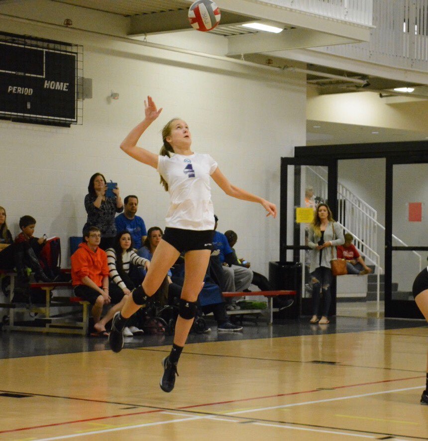 Optimum Volleyball tweet media