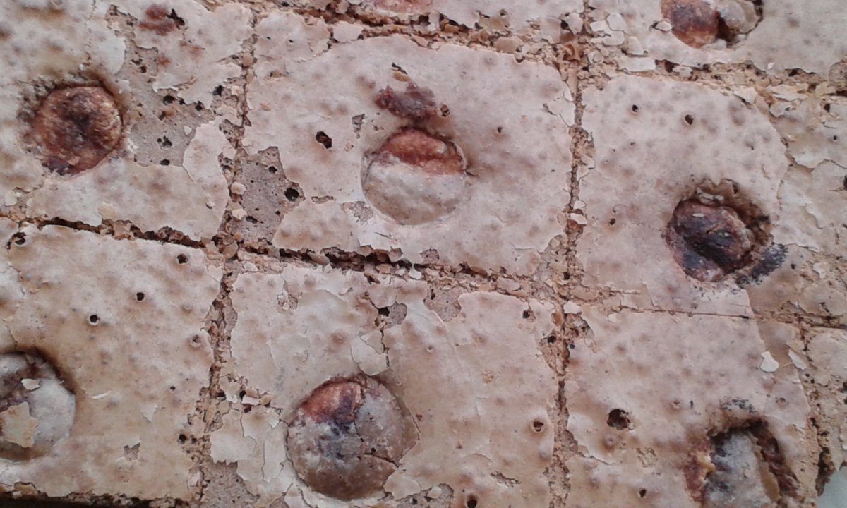 #HomeMade truffle chocolate #brownie made by <a href="/mc_chocolatier/">MC.Chocolatier</a>