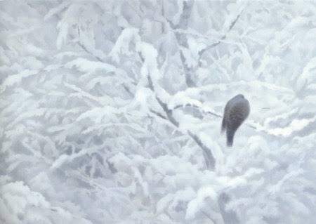ある朝、庭を見ると一面の雪であった。以前から住み着いていたじき鳩が