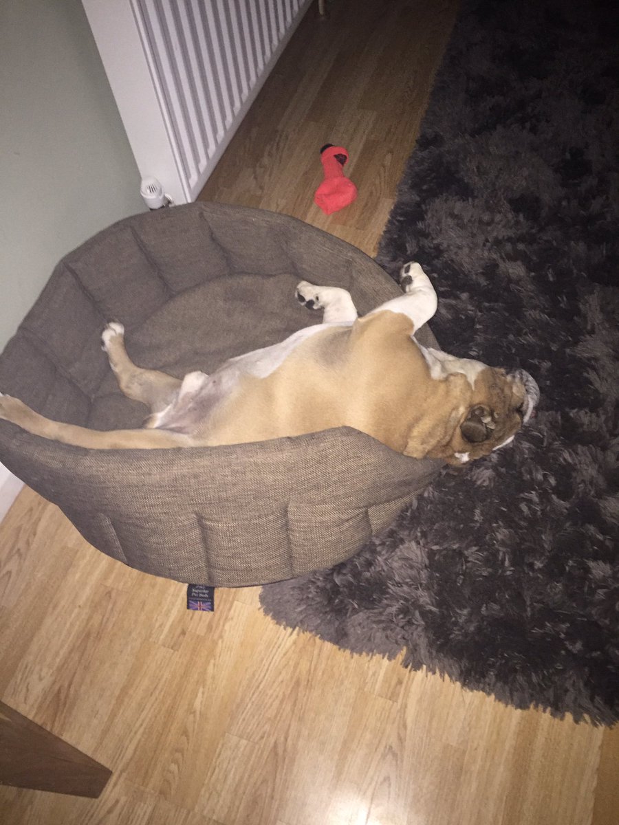 Mood on this raining Sunday morning