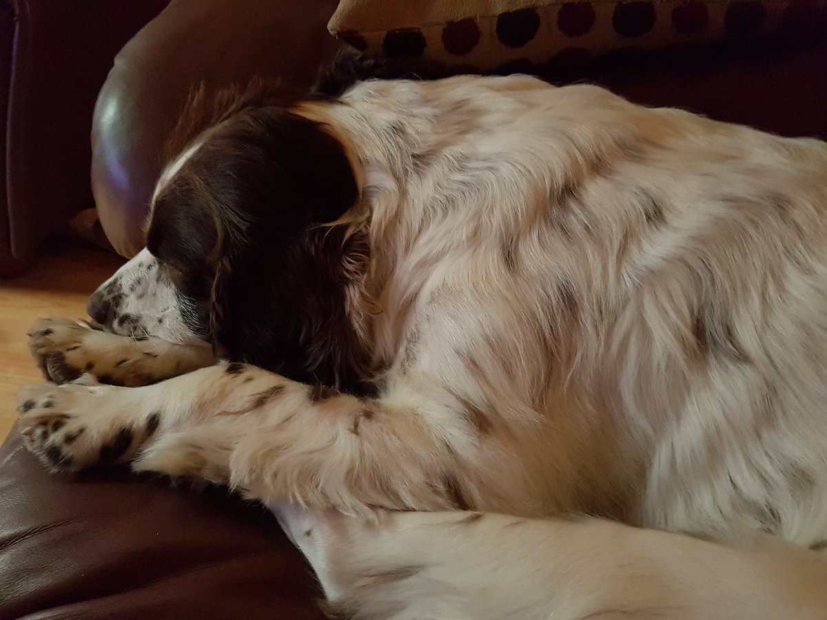 shar_w's tweet image. but he looks so cute up there  #hebelongs #sameissues