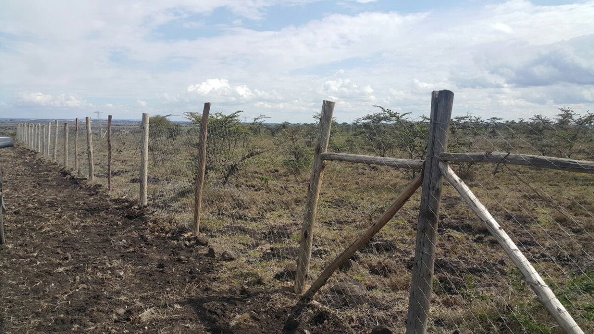 WananchiH's tweet photo. 50X100fts plots at Fanaka Plains. Fanaka is a gated community located along Acacia road 8km off Namanga Highway. For only Kshs 495000 https://t.co/IkV3ubQfVy