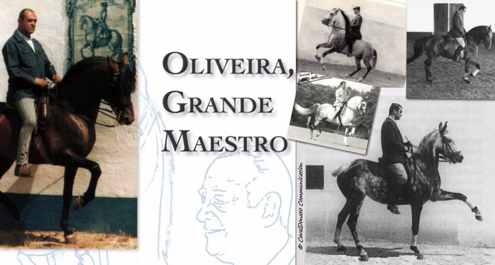 Equestrian_In's tweet photo. https://t.co/0eNuTSKP4O #Oliveira #NunoOliveira grande #maestro #opere #scritti #equitare casa editrice #scopri #discover #horses https://t.co/ydugnHkcpF