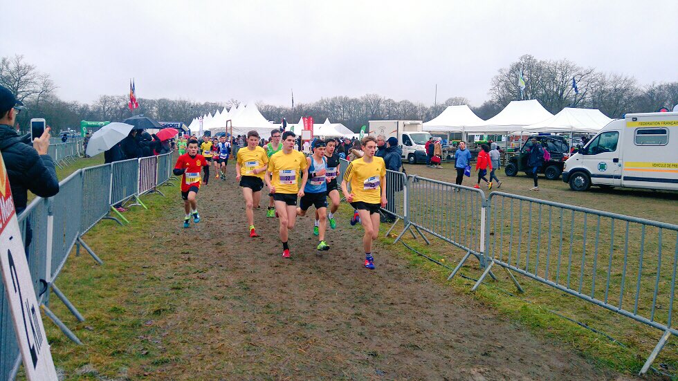 LigueTriPdl's tweet photo. #Go #TriPdl 
Cross Ouest France - Groupe Perf'Ormance #EcoledeTri #Triathlon https://t.co/bmUZuUHE7Q