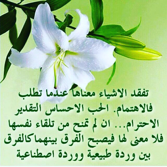 a4ssut's tweet photo. https://t.co/dOi0uyaMDX