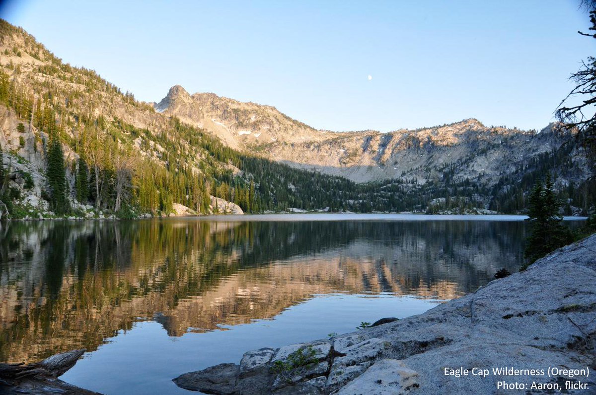 Wilderness's tweet photo. "Do not let selfish men or greedy interests skin your country of its beauty, its riches or its romance.” – Theodore Roosevelt https://t.co/I0ReWG2qWp