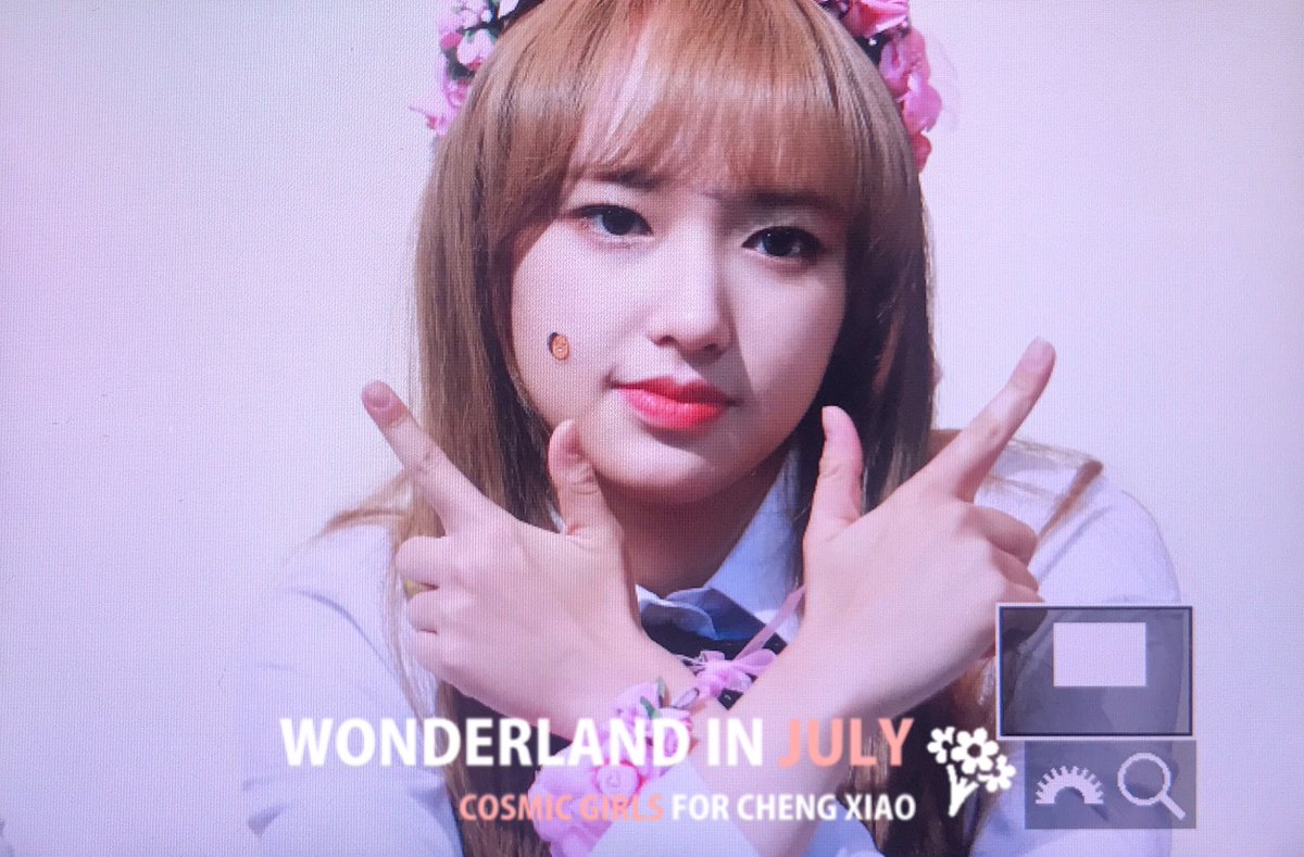 19980715com's tweet photo. 170115 강남 팬싸 
#성소 #ChengXiao #우주소녀 #Just_tell_me_why #손을뻗어닿을수있게 @chengxiao_0715 @WJSN_Cosmic 💖 https://t.co/TLtg4lABgg