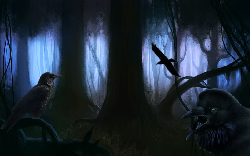 Dark forest ravens 
#Vikings #VikingsNation