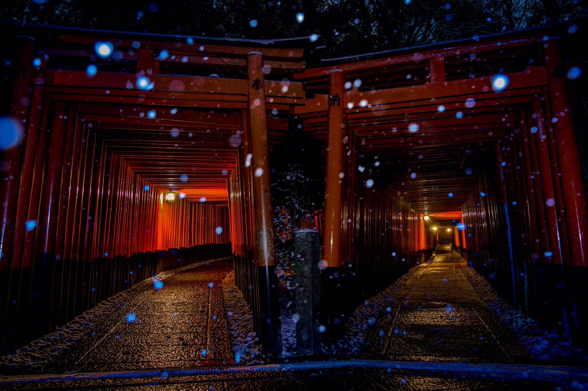 たすたけ 大雪京都巡り 深夜の部 大雪の中の京都巡り 素晴らしい 冬の京都 を堪能できました 1 貴船神社 2 嵯峨野竹林 3 嵐山渡月橋 4 伏見稲荷大社 写真好きな人と繋がりたい 京都 たすたけ 大雪京都巡り 深夜の部 大雪の中の京都巡り 素晴らしい 冬の京都 を堪能できました 1 貴船神社 2 嵯峨野竹林 3 嵐山渡月橋 4 伏見稲荷大社 写真好きな人と繋がりたい 京都