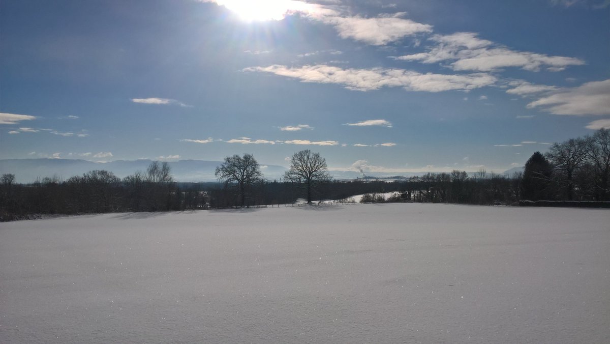 Matteo_g2013's tweet image. #winter #nature #purewite