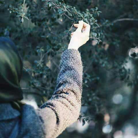 فــدڪ المـوســويّ✤‏ོ tweet media
