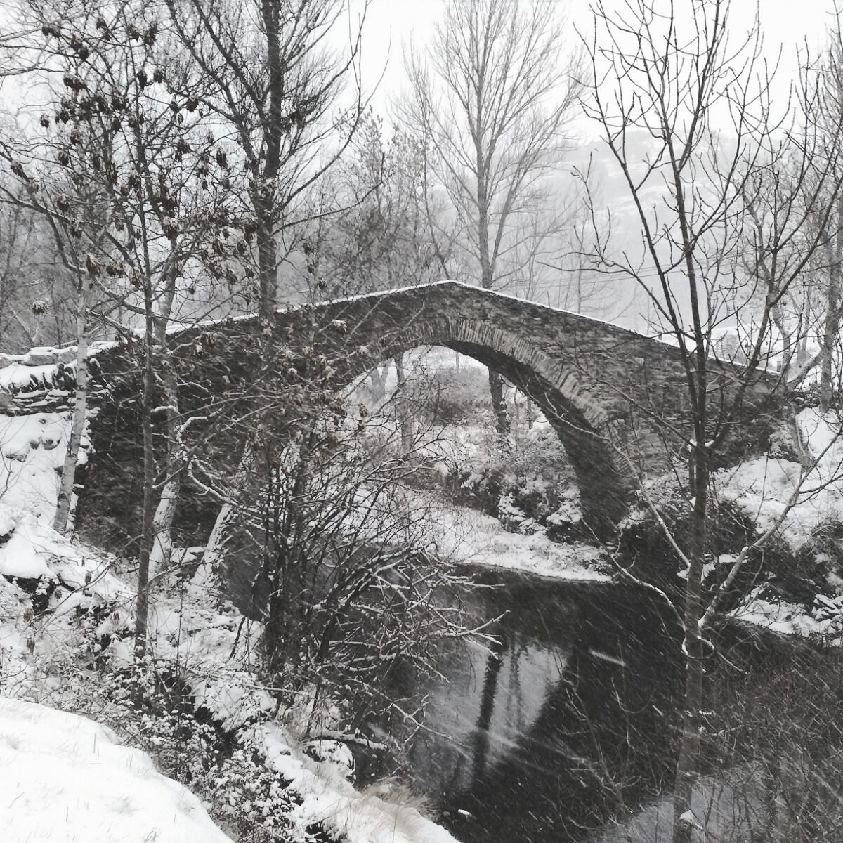Continua el temporal de #neu al #PNAltPirineu deixant imatges de #postal com el #pontmedieval de #Cassibrós #ValldeCardós #PallarsSobirà