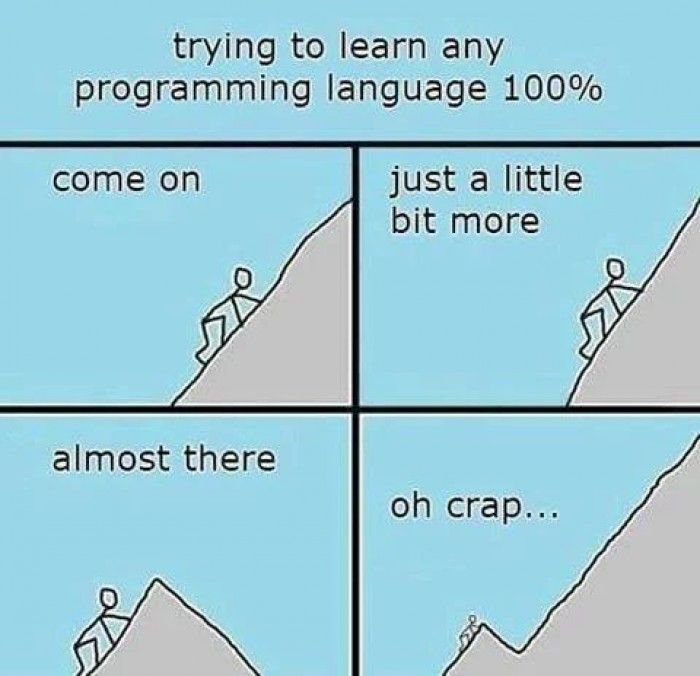 thecrazyprogrmr's tweet image. learning a programming language be like..
#programming #programmer
#softwaredevelopment #coding