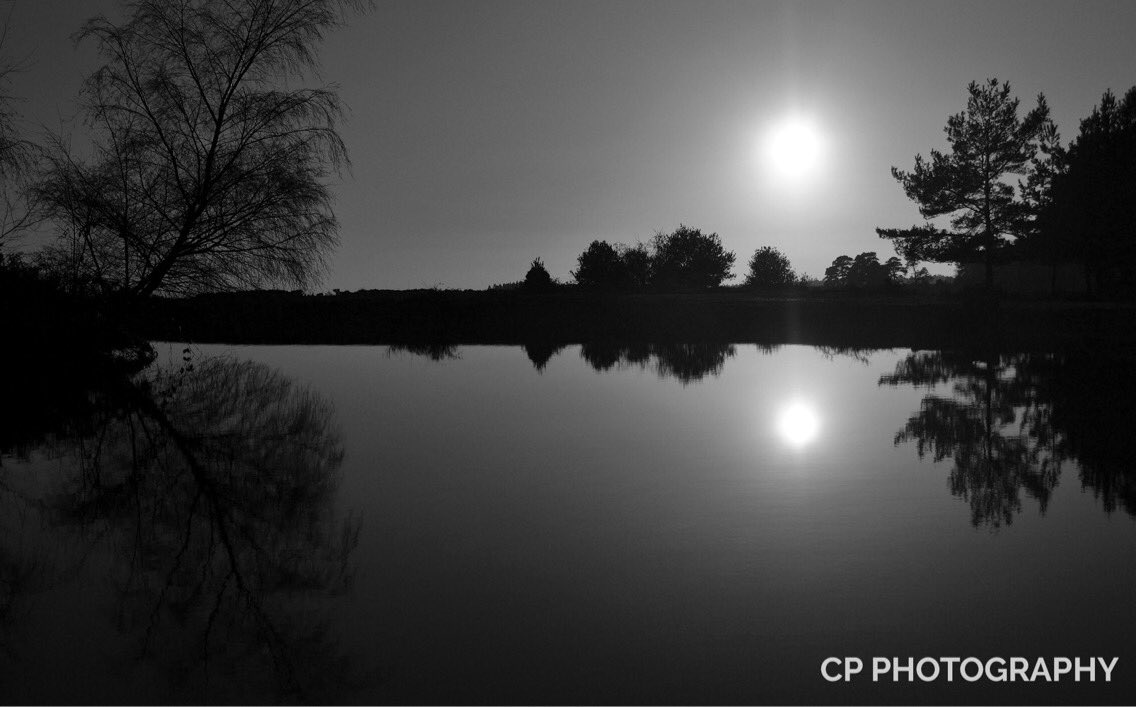 CP_Photography9 tweet picture