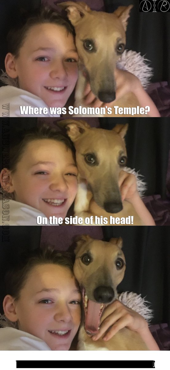 Where was Solomon's Temple? #air #theistichumour #comedyinreason #pun