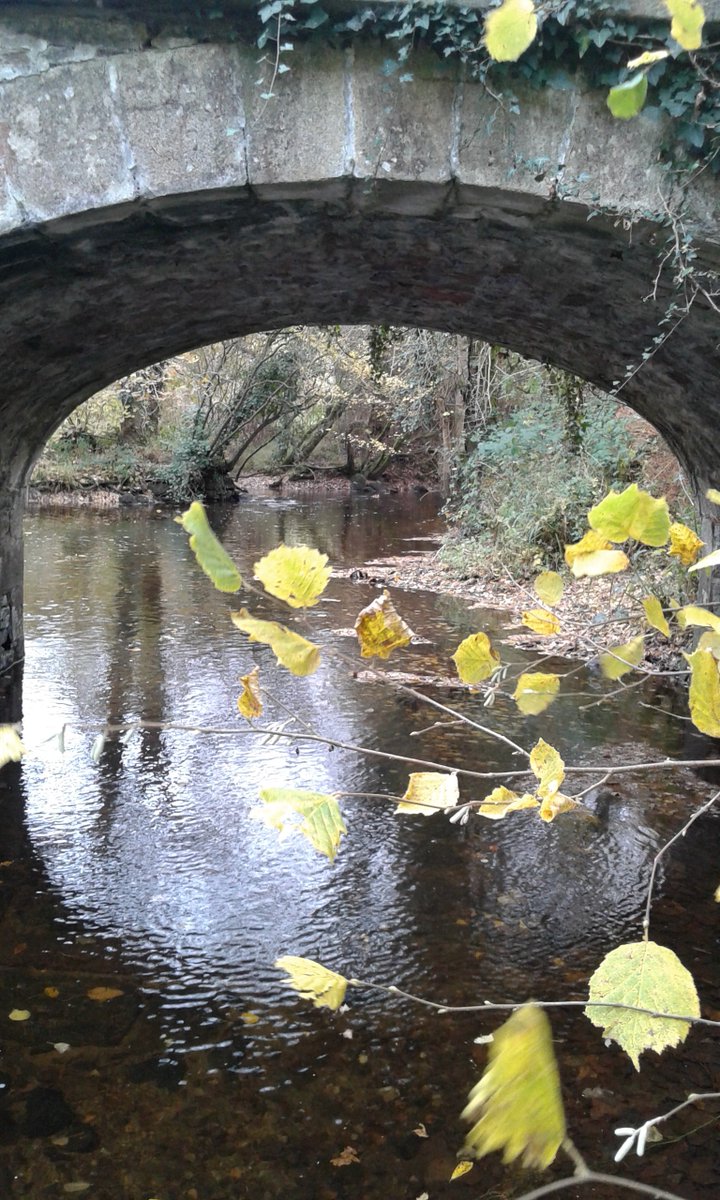 publicfishingfrance tweet media