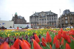 Floris Hovers opent Tulpendag 2017 tulpen.nl/nieuwsitem/158… via <a href="/tulpennl/">Tulpen.nl</a>
