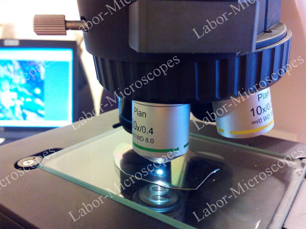 Labor-Microscopes (@labormic) / Posts / X