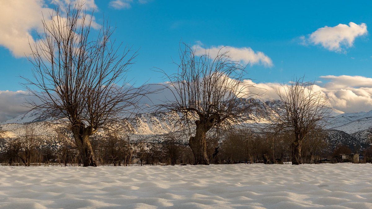 nikolakakism's tweet photo. Lasithi plateau snow covered #Crete #winterincrete https://t.co/cXl0Wgiorg