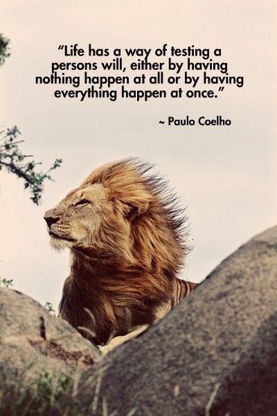 isciencebox's tweet image. Special regards to @paulocoelho whose inspiring quotes give strength to millions.