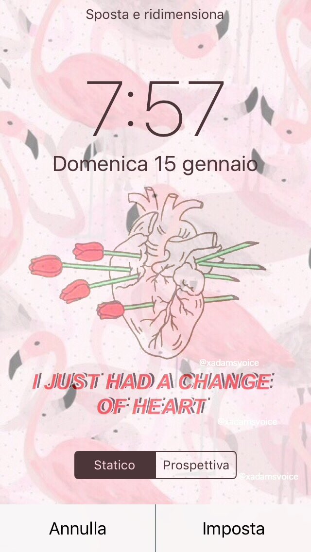 diilettae's tweet image. LOCKSCREEN #The1975 | rt per averlo, se lo vuoi chiedimelo e te lo invio via dm (ask&amp;amp;rt)!