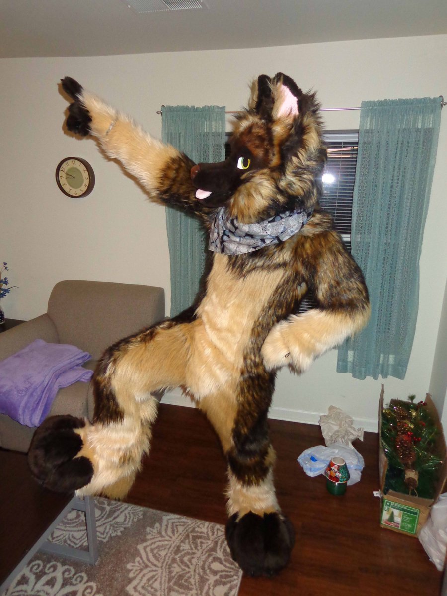 Xoniif's tweet photo. Today, 1 year ago, I received Fixion from @TheRadPandas!
I'm incredibly thankful for all the experiences and friends I have made.
Thank you. https://t.co/0pdNzJKQ34