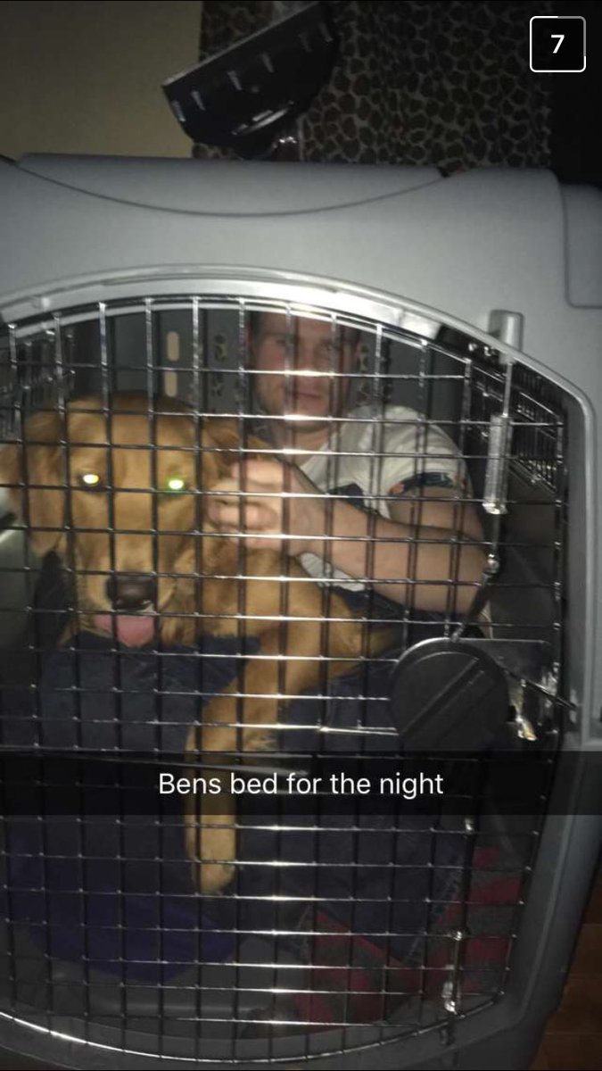 landry_benjamin's tweet photo. When you go to a party and just hang out with the dog https://t.co/Xr3vWMWicz