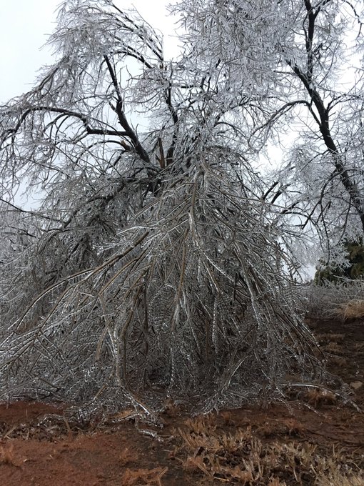 View image on Twitter View image on Twitter