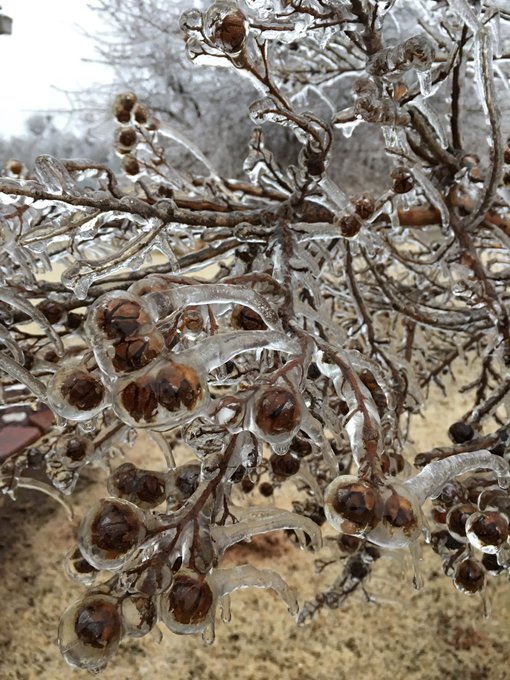 View image on Twitter View image on Twitter