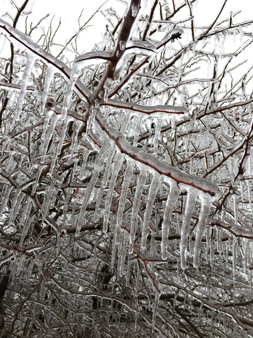 View image on Twitter View image on Twitter