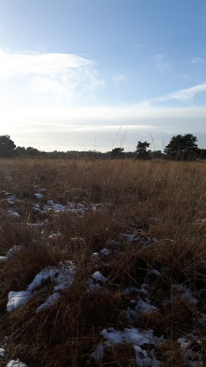 AnnaIke's tweet photo. Heerlijk gewandeld op de heide bij #Elspeet Nu lekker een pannenkoek eten in het #oudveluwsch #eethuis https://t.co/B806JpGhHz