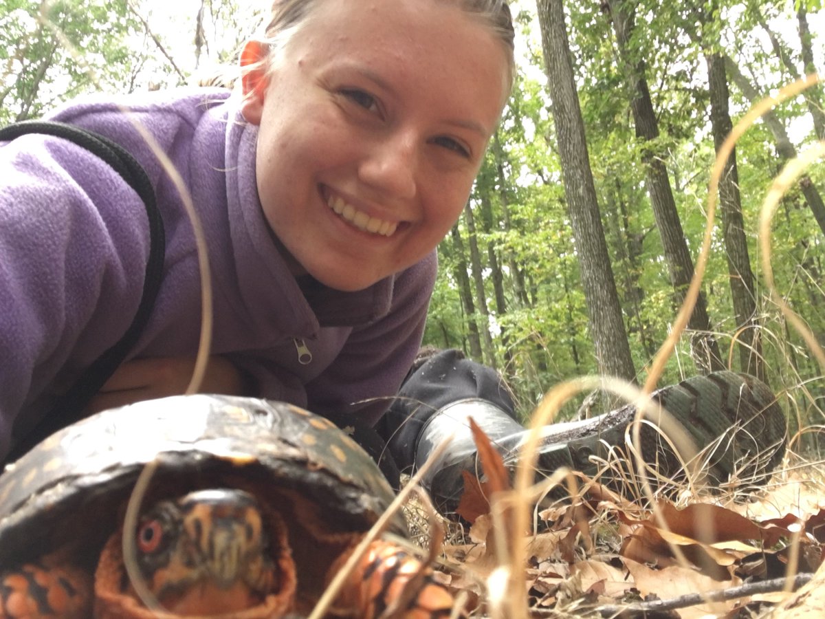 Friendly box turtle found in the hardwood forest part of the Dismal Swamp Conservation Area, the largest contiguous wetlands in northern NJ!