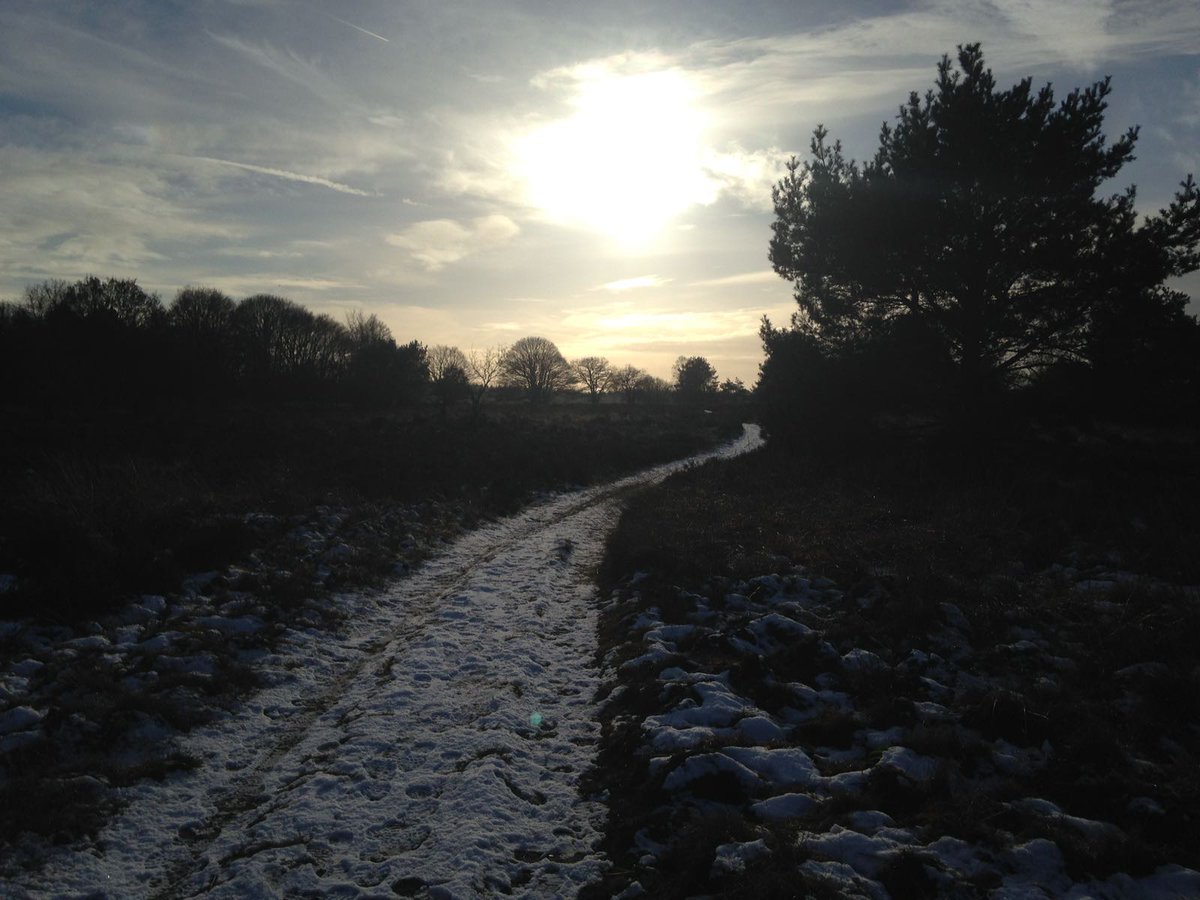 AnnaIke's tweet photo. Heerlijk gewandeld op de heide bij #Elspeet Nu lekker een pannenkoek eten in het #oudveluwsch #eethuis https://t.co/B806JpGhHz