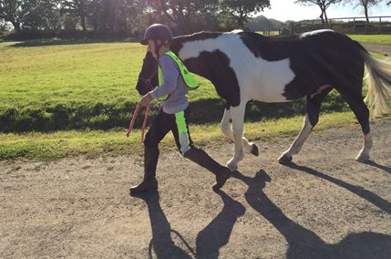 "With the dark evenings I ordered some of the safety first hi-viz jods. They are so comfy &amp; have a bonus of being safer too." <a href="/TheoFunnell/">TheoFunnellEventing</a>