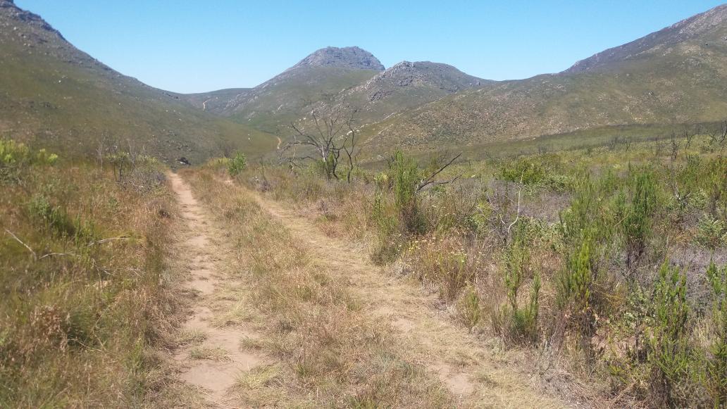 DrylandTrails's tweet photo. @attakwas 2017.Scenic route#hardcore race!! https://t.co/XdL5XTOabH