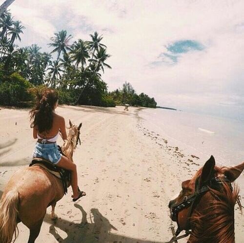 2017babes's tweet photo. 2017 goal: go horse riding on the beach 🌹 https://t.co/EyYPjteWJx