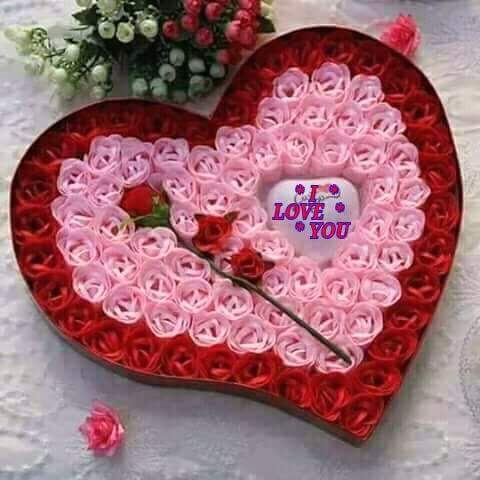 afndynaa217's tweet photo. @QrSoso7990 @smohsn https://t.co/TpbQHRPiF9