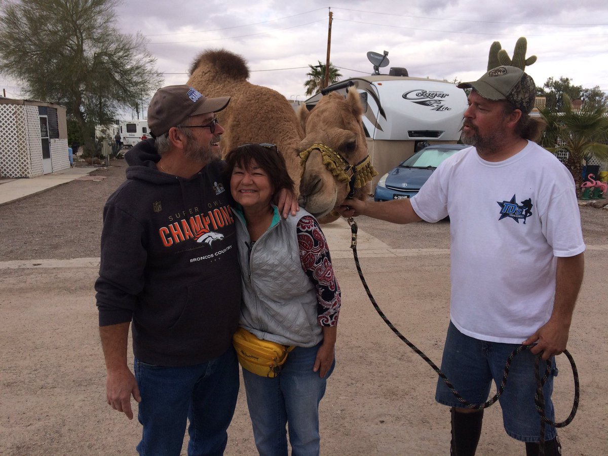 MikesRocksHQ's tweet photo. @RVLoveTravel was it this camel? Every RV Park should have a camel visit. lol🏜😎 https://t.co/YdPDdA3lFx